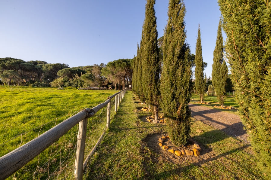 0 Bedroom Property for Sale in Somerset West Rural Western Cape